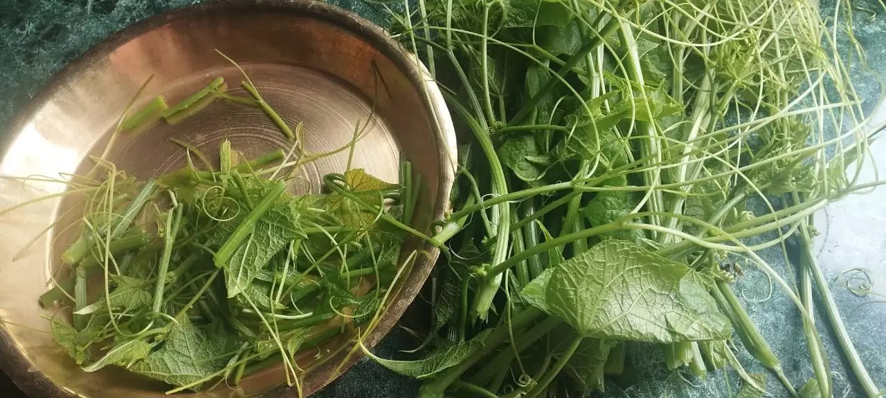 Iskus ko Munta: Tender Chayote Shoots - Vegetable in Abundance